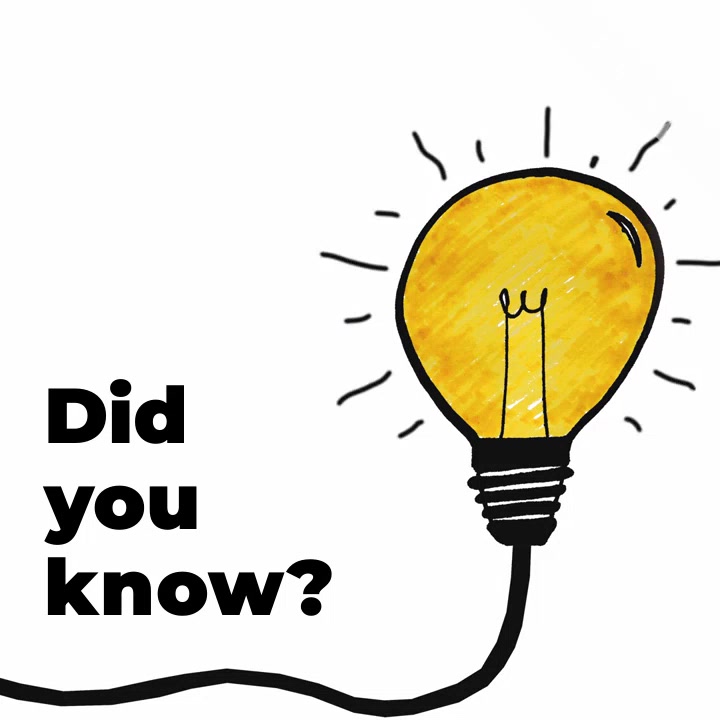 #FunFactFriday  Video Template